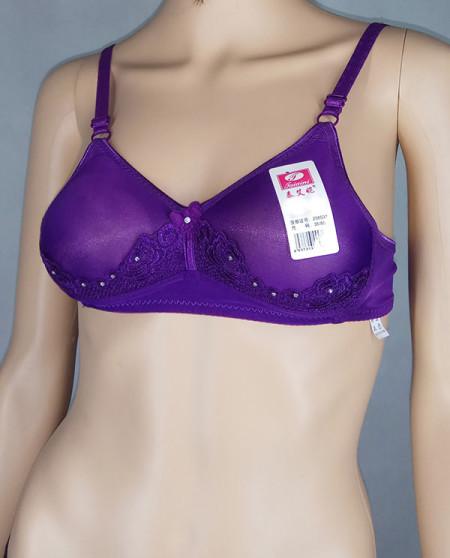 Bra Gw 02