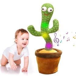 Dancing cactus