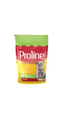 ProLine Kutten Dry Cat Food Chicken 400gm