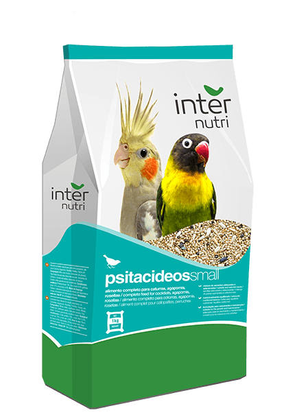 NterNutri Parakeet Mix Pack 1KG