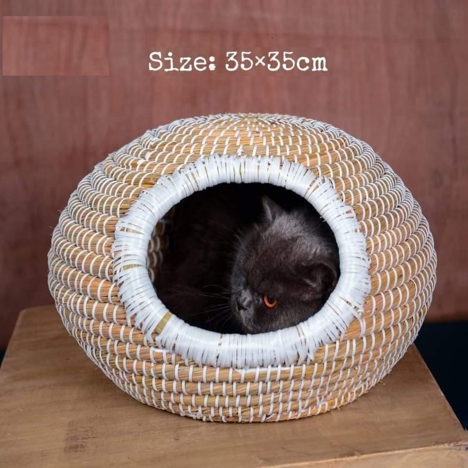Pet Cat house Egg Shaped