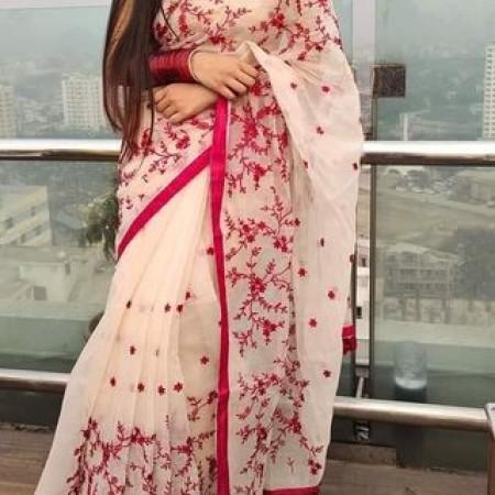 Halfsilk Embroidery Saree-117