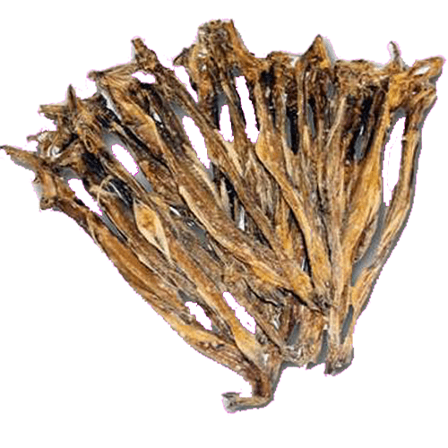 Loitta Dry Fish ( লইট্টা শুটকি )