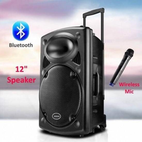 Rechargeable Bluetooth karaoke trolley speaker with wireless microphone